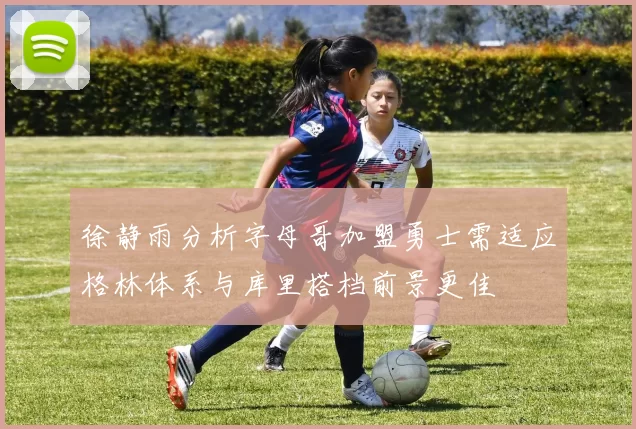 徐静雨分析字母哥加盟勇士需适应格林体系与库里搭档前景更佳