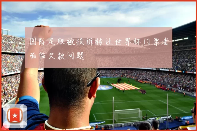 国际足联被投诉转让世界杯门票者面临欠款问题